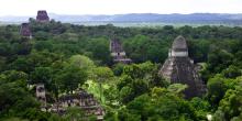 tikal